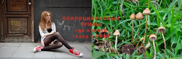 гашиш Заволжск