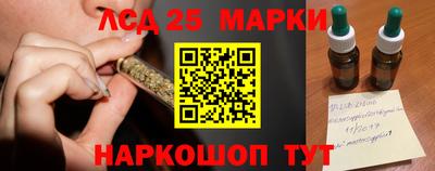 гашик Нальчик